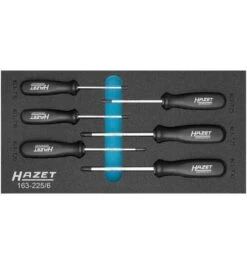 Hazet Schraubendreher Satz TORX, Innen TORX Profil, T10 - T30, Anzahl Werkzeuge: 6