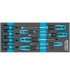 Hazet Schraubendreher Satz, Schlitz Profil, Kreuzschlitz Profil PH, Anzahl Werkzeuge: 10