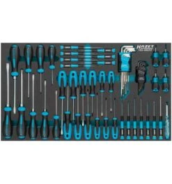 Hazet Schraubendreher Satz, Schlitz Profil, Kreuzschlitz Profil PH, Innen-Sechskant Profil, Innen TORX Profil, Anzahl Werkzeuge: 57